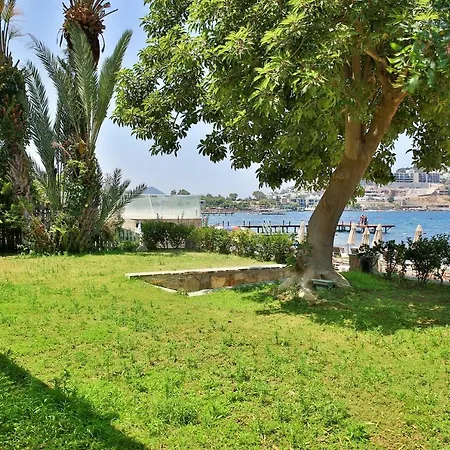 Tilkicik Yali Daireleri Yalikavak Lägenhet Bodrum